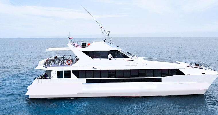 190 Passengers Catamaran for Sale